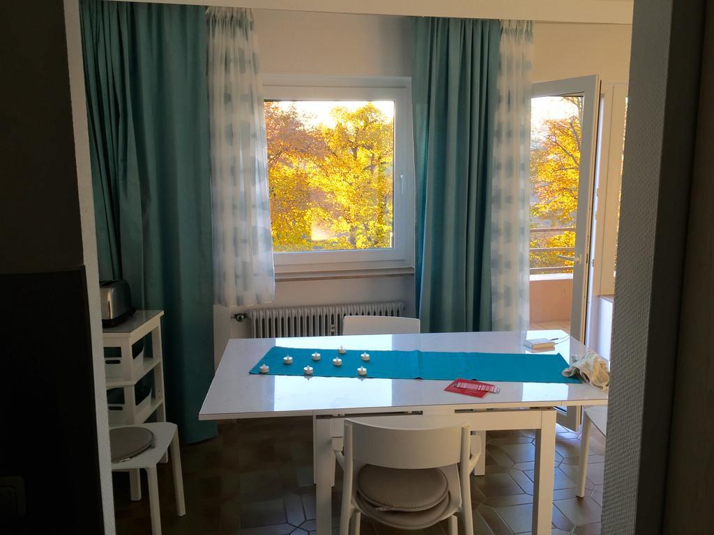 Ferienwohnung Suedpark Apartment - Bad Nauheim Zewnętrze zdjęcie